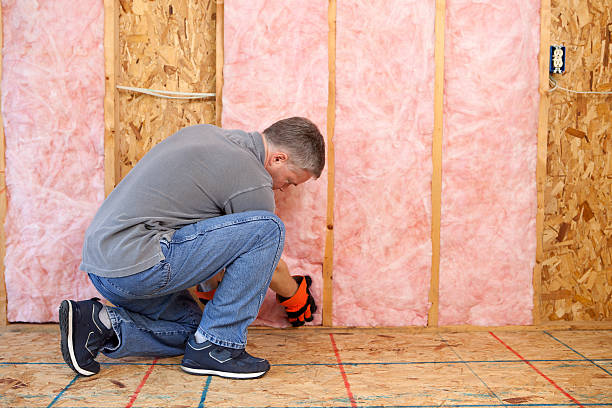 Best Insulation Replacement Services  in Sun Valley, PA